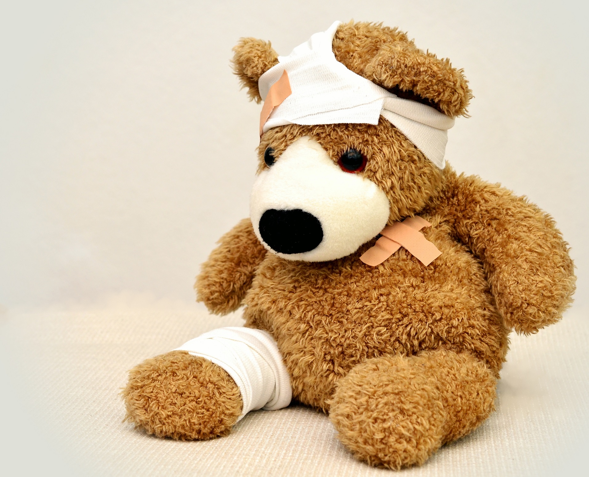 injured bear