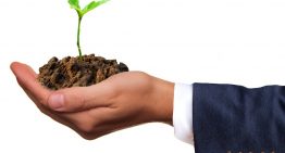 Top 5 Ways in Which Going Green Can Save Your Company Money