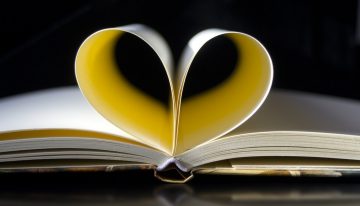 How To Find A Career You Can Fall Head Over Heels For