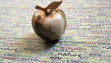 Why Going Green Could Keep Your Business In The Black