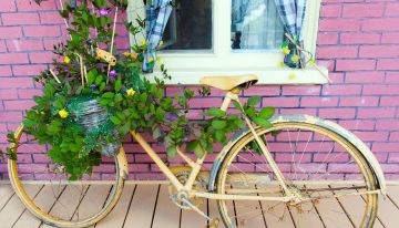 French Country Home Charm – Amazing Home Designs