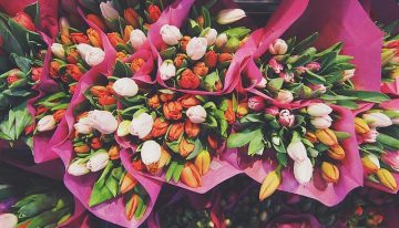 The Ultimate Guide To Flowers For Every Occasion