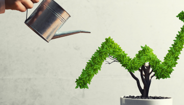 6 Vital Things to Check When Turning A Small Business to Big One