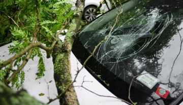 5 Things to Know About Your Car Insurance