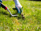 5 Methods for Weed Removal to Try This Year